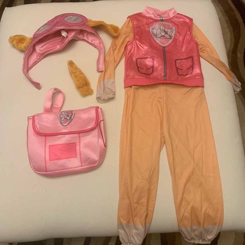 Paw patrol “Skye” costume